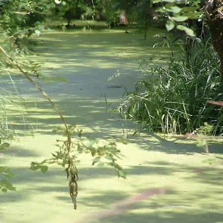 D'hotes Chez Jacques Bed and Breakfast 4*