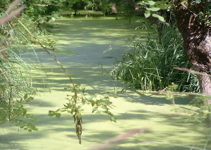 D'hotes Chez Jacques Frühstückspension 4*